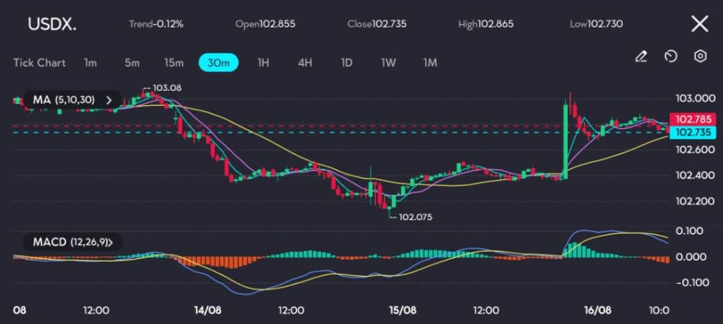 The 30-minute chart for USDX shows the index opening at 102.855 and closing at 102.735, with a high of 102.865 and a low of 102.730. The price action reflects a recent recovery from the 102.075 support level, advancing towards the 102.785 resistance level but encountering resistance near the 103.000 mark.