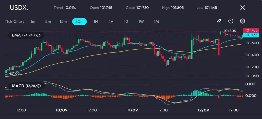 The USDX chart on vtmarkets.com shows price action bouncing off the 101.645 level, as indicated by the EMA (24, 24, 72), signaling potential consolidation around the 101.7 mark. The MACD indicator reflects mild bullish momentum, with buyers emerging near support levels.